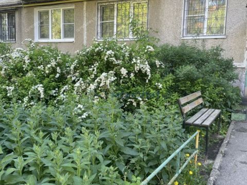2-komnatnaya-ul-gaugelya-d-19 фото
