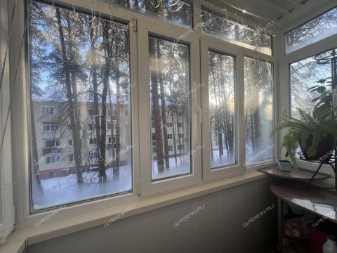 2-komnatnaya-gorod-sarov-gorodskoy-okrug-sarov фото