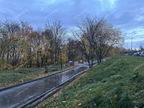 2-komnatnaya-ul-rodionova-d-180 фото