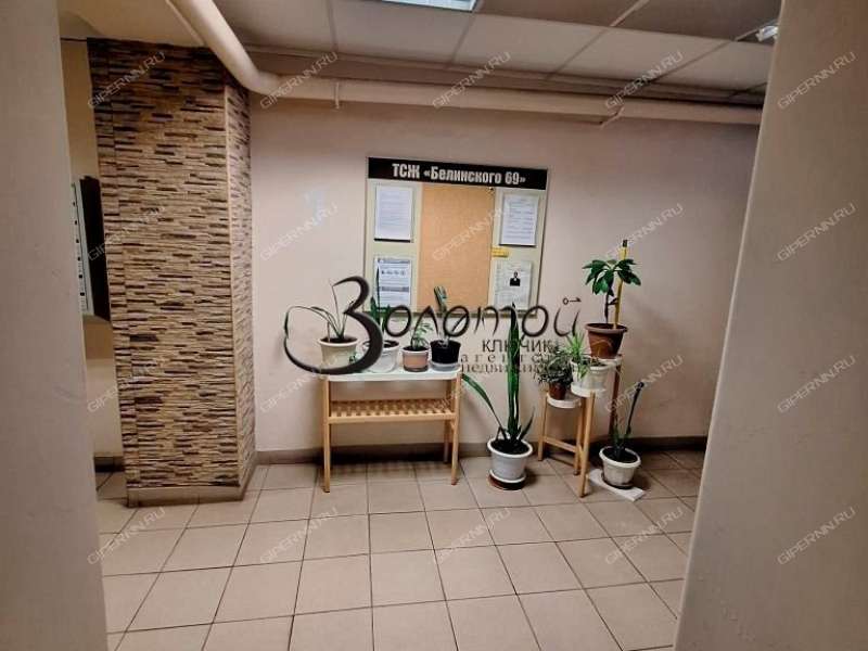 двухкомнатная квартира на улице Белинского дом 69