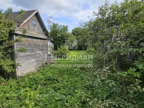 gorod-bor-gorodskoy-okrug-bor фото