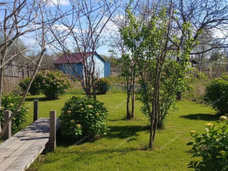 дача на СНТ № 5