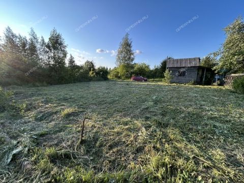 gorod-bor-gorodskoy-okrug-bor фото