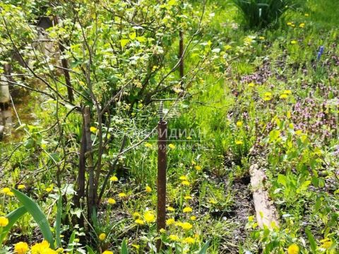 dacha-snt-sokol-sad-n1-snt-sokol-sad-1 фото