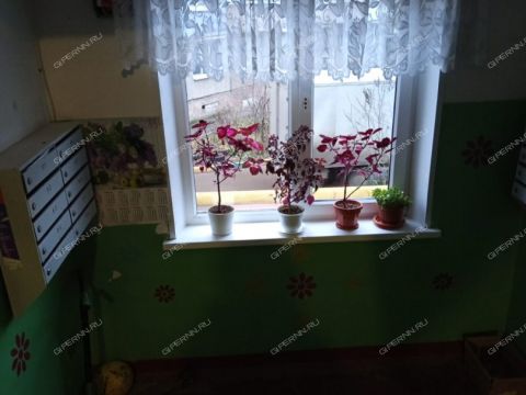 1-komnatnaya-ul-premudrova-d-16-k1 фото