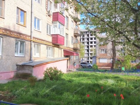 2-komnatnaya-gorod-vyksa-gorodskoy-okrug-vyksa фото