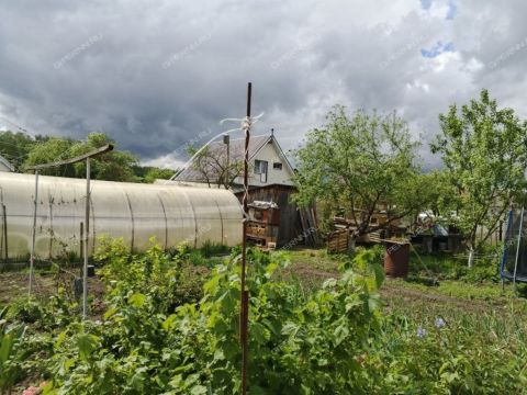 dom-poselok-neklyudovo-gorodskoy-okrug-bor фото
