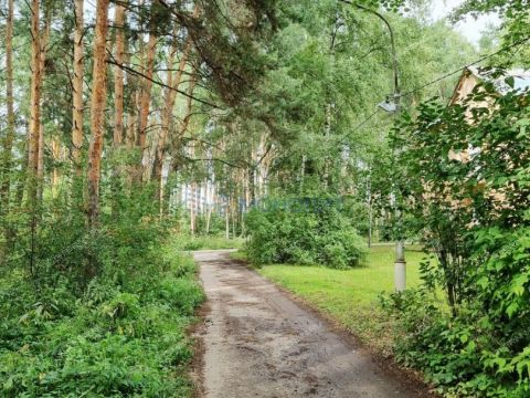 1-komnatnaya-druzhnyy-sp-kstovskiy-rayon фото