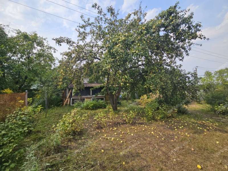 дом на Белополье Территория СНТ село Большая Ельня