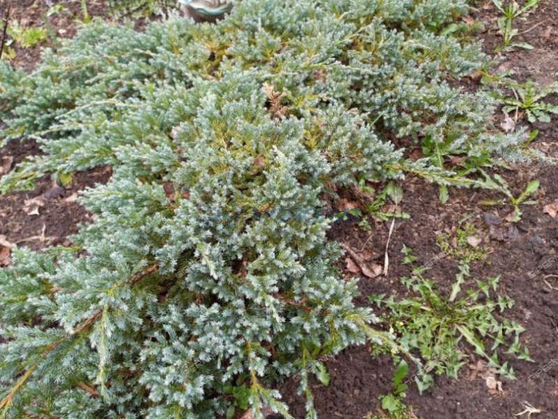 дача на улице Массив-2 СНТ Водник-2