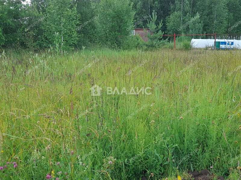 земельный участок 8,98 сотки деревня Шуклино