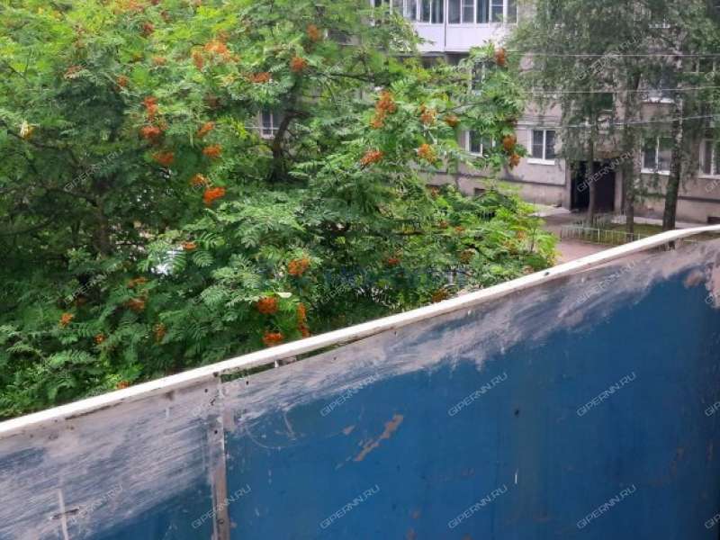 однокомнатная квартира на Административной улице дом 12 рабочий посёлок Гидроторф