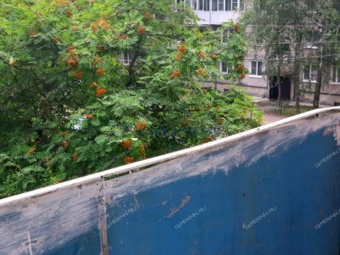 1-komnatnaya-rabochiy-poselok-gidrotorf-balahninskiy-municipalnyy-okrug фото