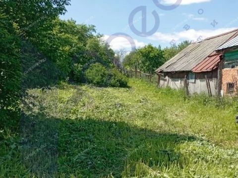 selo-kishkino-bolshemurashkinskiy-rayon фото