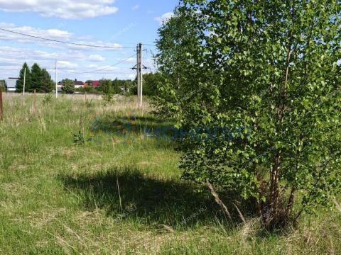 gorodskoy-okrug-bor-gorodskoy-okrug-bor фото