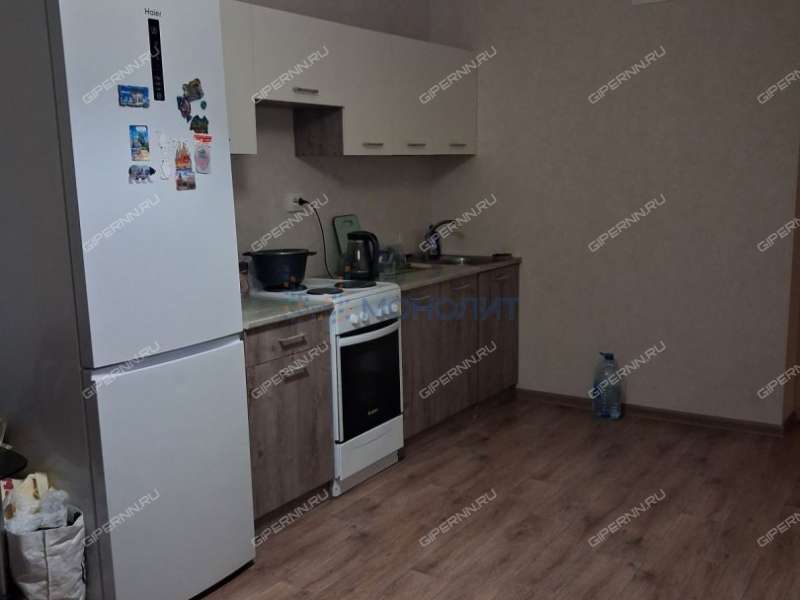 трёхкомнатная квартира на улице Романтиков дом 13