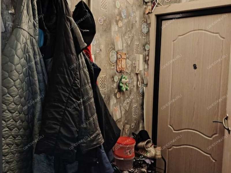 однокомнатная квартира на Снежной улице дом 27 к2