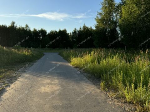 dom-derevnya-sysoevka-bogorodskiy-municipalnyy-okrug фото