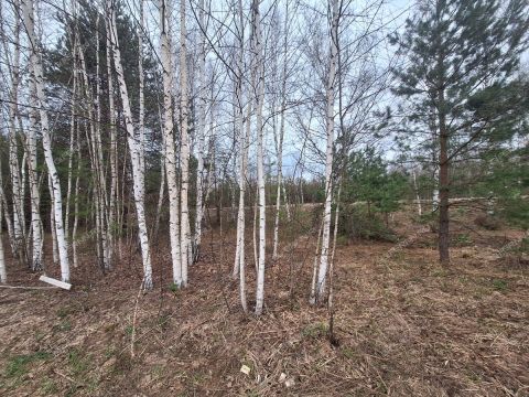 derevnya-bushnevo-gorodeckiy-rayon фото