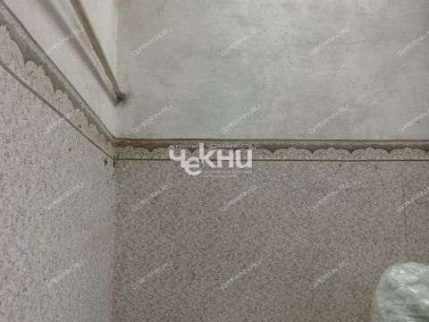 gorod-gorodec-gorodeckiy-rayon фото