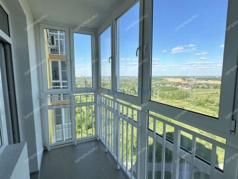 однокомнатная квартира на Русской улице улице дом 19 деревня Анкудиновка