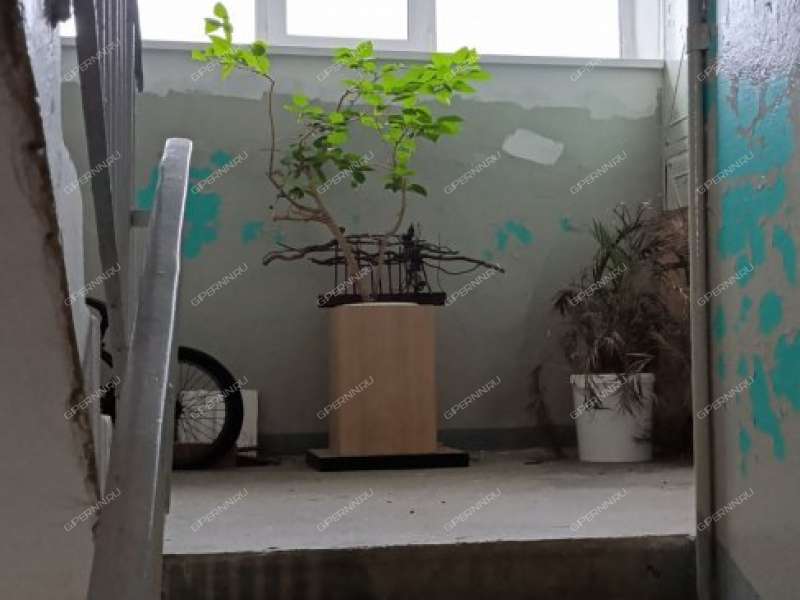 двухкомнатная квартира на Ковалихинской улице дом 49