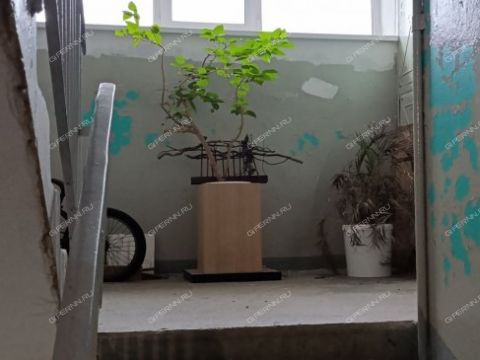 2-komnatnaya-ul-kovalihinskaya-d-49 фото