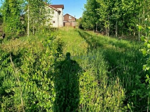 rabochiy-poselok-lukino-balahninskiy-municipalnyy-okrug фото