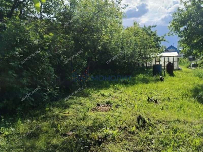 земельный участок 6,5 сотки Рогуново улица городской округ Бор