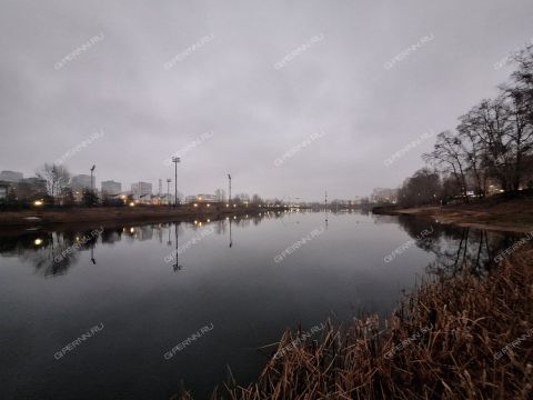 1-komnatnaya-b-r-meshherskiy-d-7-2 фото