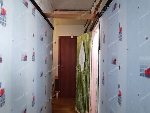 2-komnatnaya-derevnya-prokoshevo-kstovskiy-rayon фото