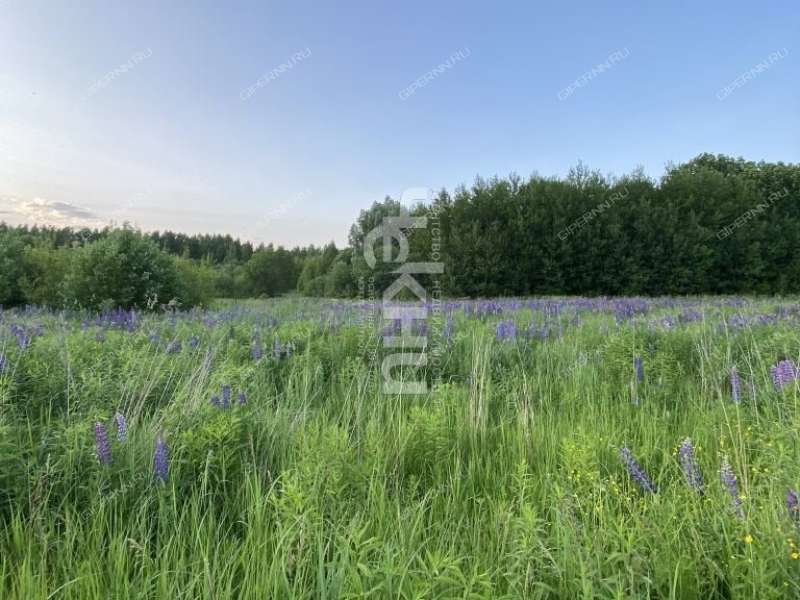 земельный участок 20 соток Семена Захарова село Дуденево