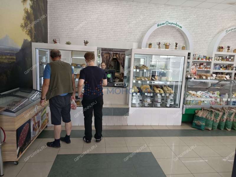 здание под торговую площадь, недвижимость под общепит в 2-м микрорайоне город Бор