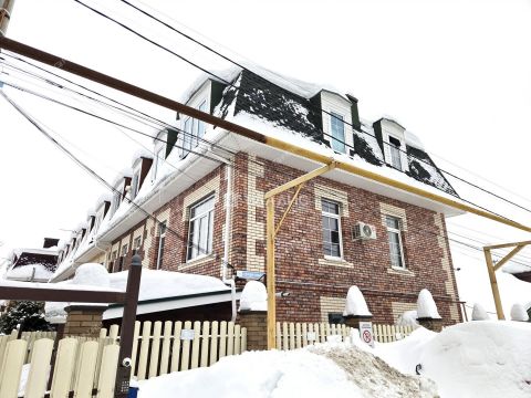 taunhaus-derevnya-novaya-derevnya-kstovskiy-rayon фото