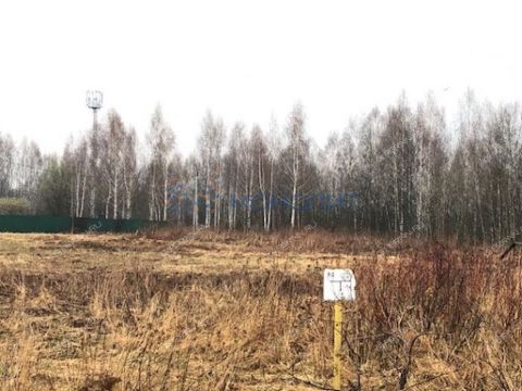 derevnya-borisovka-sitnikovskiy-selsovet-gorodskoy-okrug-bor фото