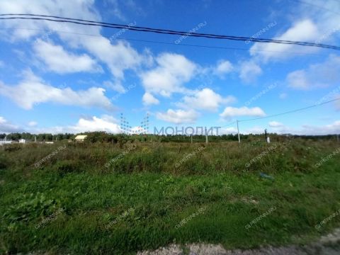 derevnya-prudy-bogorodskiy-municipalnyy-okrug фото