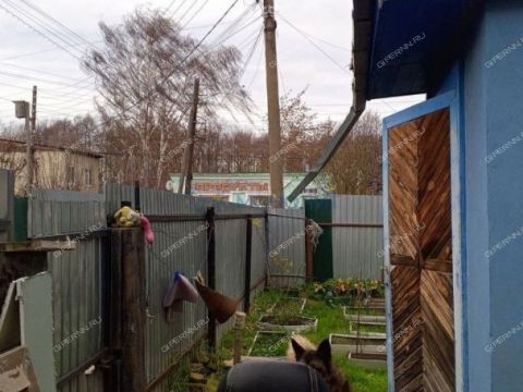 3-komnatnaya-ul-mineralnaya-d-10 фото