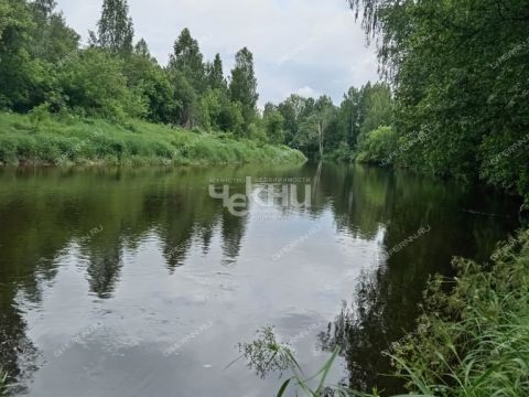 dom-derevnya-koskovo-gorodeckiy-rayon фото