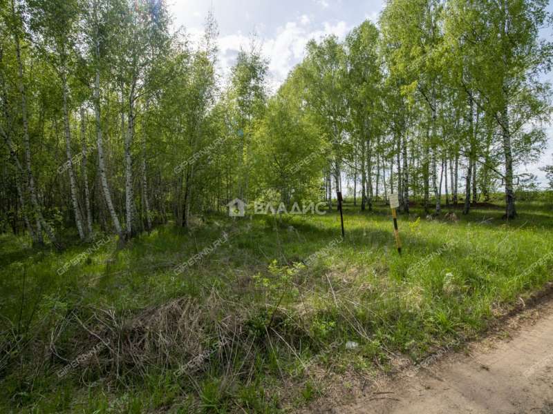 земельный участок 18 соток Овражная улица деревня Майдан