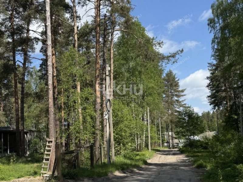 земельный участок 122 сотки Борский р-н Бор