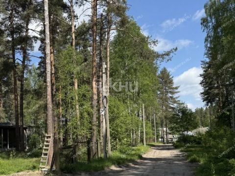 dom-derevnya-lindo-usad-gorodskoy-okrug-bor фото