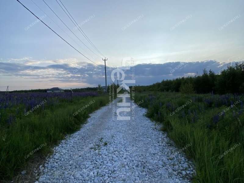 земельный участок 20 соток Семена Захарова село Дуденево