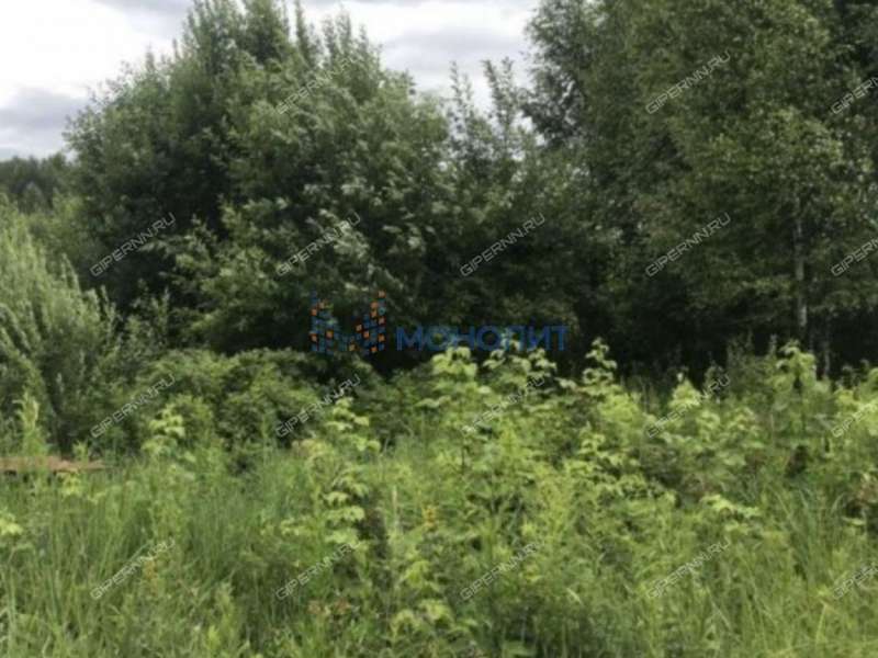 земельный участок 10 соток Александровская слобода
