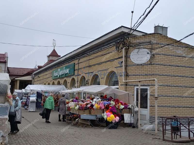 помещение под помещение свободного назначения, торговую площадь на Советской площади город Балахна