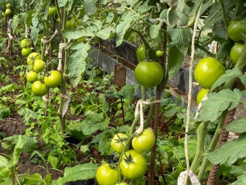 dom-poselok-pamyat-parizhskoy-kommuny-gorodskoy-okrug-bor фото