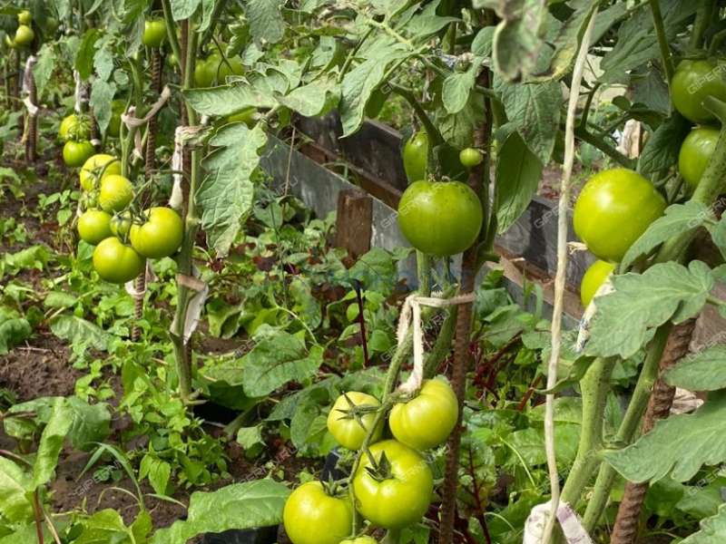 дом на улице Советская Память Парижской Коммуны сп